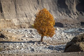 رنگ‌های زاگرس؛ پاییز پیرتو