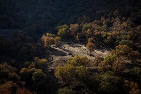 رنگ‌های زاگرس؛ پاییز پیرتو