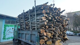 توقیف کامیون حامل ۴ تن هیزم قاچاق در اردبیل