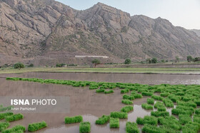 مصرف آب در کشاورزی به میزان پیش‌بینی شده سال ۱۴۱۱ رسیده است