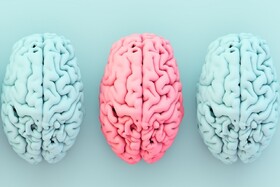 ارتباط شگفت‌انگیز میان یک ماده مغذی کلیدی، چاقی و خطر آلزایمر