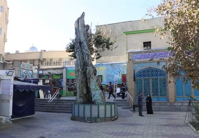 وقف ماندگار ایرانیان در خطر نابودی