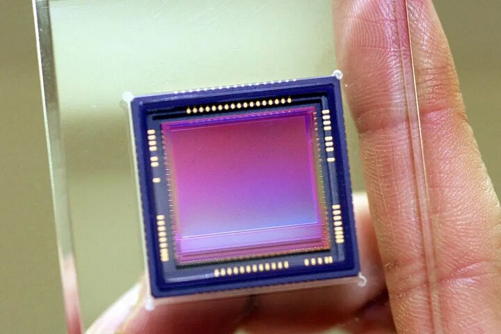 دید در مه و تاریکی با دوربین‌های مجهز به فناوری الهام‌گرفته از مار