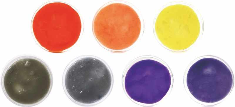 باکتریها هم نساج شدند و هم رنگرز!