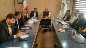 نشست تخصصی «پروژه کاهش خلاء پتانسیل گندم» در ایلام برگزار شد