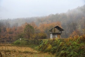 بازگشت باران به سوادکوه
