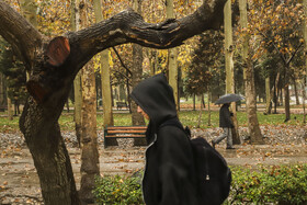 بازگشت باران به مشهد؛ پایان انتظار طولانی