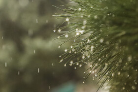 بازگشت باران به مشهد؛ پایان انتظار طولانی