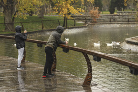 بازگشت باران به مشهد؛ پایان انتظار طولانی