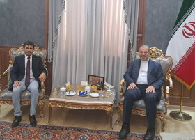 تاکید ایران بر بی‌طرفی صلیب سرخ در موضوعات انساندوستانه جهانی