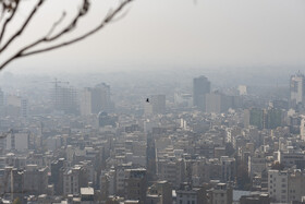 قدرت اعجاب‌انگیز این ویتامین برای محافظت از ریه در روزهای آلوده