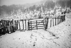 بارش برف پاییزی در روستاهای کوهستانی سوادکوه