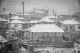 بارش برف پاییزی در روستاهای کوهستانی سوادکوه