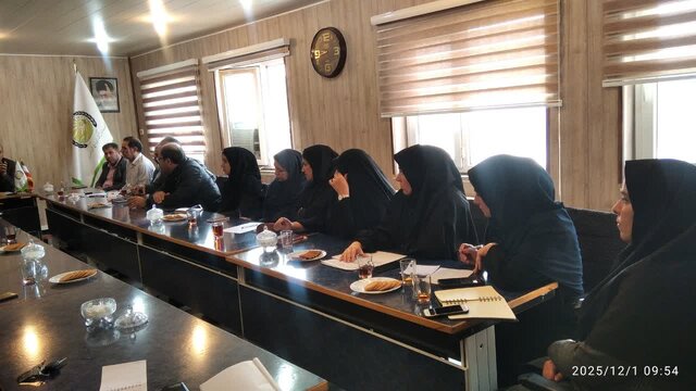 نشست تخصصی «پروژه کاهش خلاء پتانسیل گندم» در ایلام برگزار شد