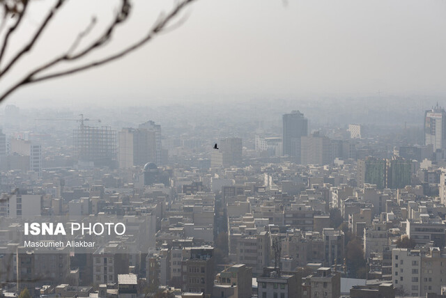این خوراکی‌ها را در روزهای آلوده نخورید!
