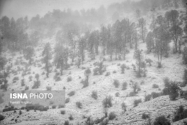 بارش برف پاییزی روستاهای کوهستانی - سوادکوه