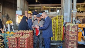 صدور حکم پلمب ۵ حجره گرانفروش در میدان میوه و تره‌بار همدان