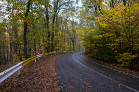 باران پاییزی در جنگل هیرکانی النگدره - گلستان 