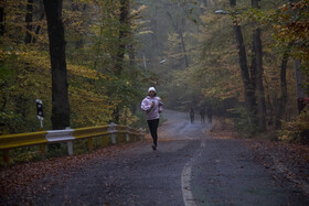 باران پاییزی در جنگل هیرکانی النگدره - گلستان 