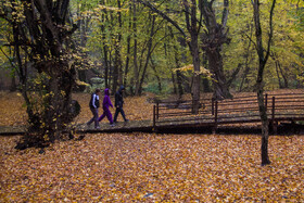 باران پاییزی در جنگل هیرکانی النگدره - گلستان 