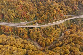 فعال محیط زیست: جنگل‌زدایی و رمه‌گردانی، دو تیغه قیچی بر گلوی بارندگی است