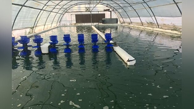 دستیابی به فناوری هوشمند ریزجلبکی برای تصفیه آب و جذب دی‌اکسیدکربن در ایران