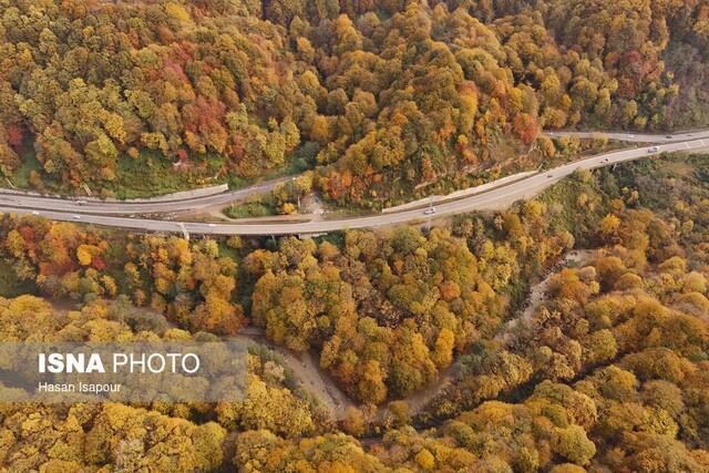فعال محیط زیست: جنگل‌زدایی و رمه‌گردانی، دو تیغه قیچی بر گلوی بارندگی است