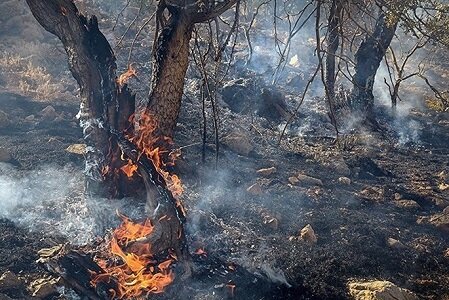 عملیات مهار آتش در منطقه نراب جیرفت رو به پایان‌ است