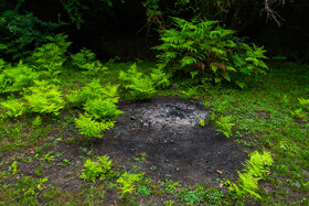 رئیس مؤسسه تحقیقات خاک و آب کشور: کاهش حاصلخیزی خاک ایران نگران‌کننده است