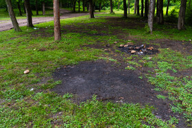 ضرورت حفاظت از خاک و تأثیر آن بر سلامت انسان