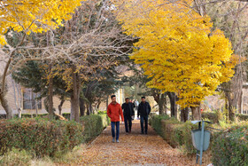 برگزاری آزمون استخدامی کادر اداری قوه قضاییه-شهرکرد