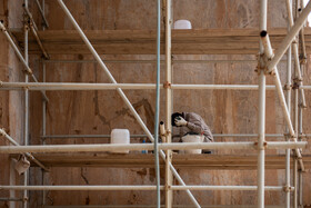 از گسل تا مرمت محوطه جهانی  نقش رستم -شیراز