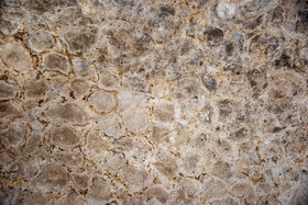 «سقف» «آرامگاه خشایارشا» فضای لانه های پرنده که توسط مرمت کاران پاکسازی شده 