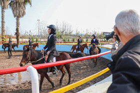 بیستمین جشنواره ملی اسب اصیل کاسپین در بندرانزلی