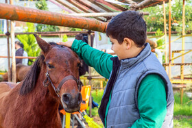 بیستمین جشنواره ملی اسب اصیل کاسپین در بندرانزلی
