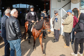 بیستمین جشنواره ملی اسب اصیل کاسپین در بندرانزلی