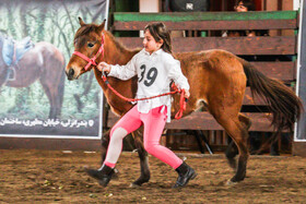 بیستمین جشنواره ملی اسب اصیل کاسپین در بندرانزلی