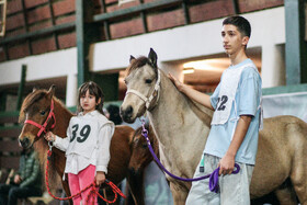 بیستمین جشنواره ملی اسب اصیل کاسپین در بندرانزلی