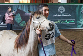 بیستمین جشنواره ملی اسب اصیل کاسپین در بندرانزلی