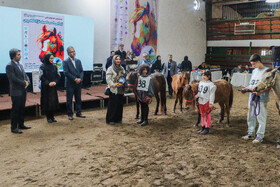 بیستمین جشنواره ملی اسب اصیل کاسپین در بندرانزلی