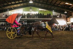 بیستمین جشنواره ملی اسب اصیل کاسپین در بندرانزلی