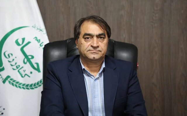 مرغداران نگران تأمین نهاده نباشند/ توزیع خوراک دام و طیور با ارز دولتی