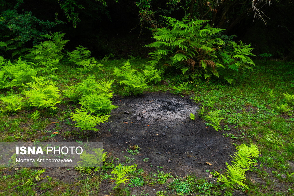 رئیس مؤسسه تحقیقات خاک و آب کشور: کاهش حاصلخیزی خاک ایران نگران‌کننده است