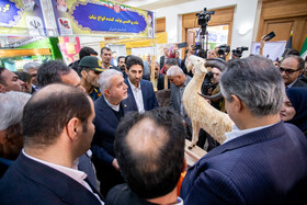 افتتاح نمایشگاه توانمندی‌های اقتصادی استان مرکزی با حضور وزیر میراث فرهنگی، صنایع دستی و گردشگری