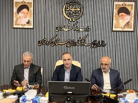 معاون وزیر کشاورزی: گندم تولید داخل از کیفیت بالایی برخوردار است