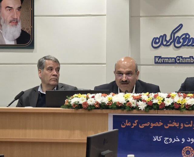 معاون گمرک کشور: بخش خصوصی قسمتی از کار سیاست‌گذاری را از دولت بگیرد