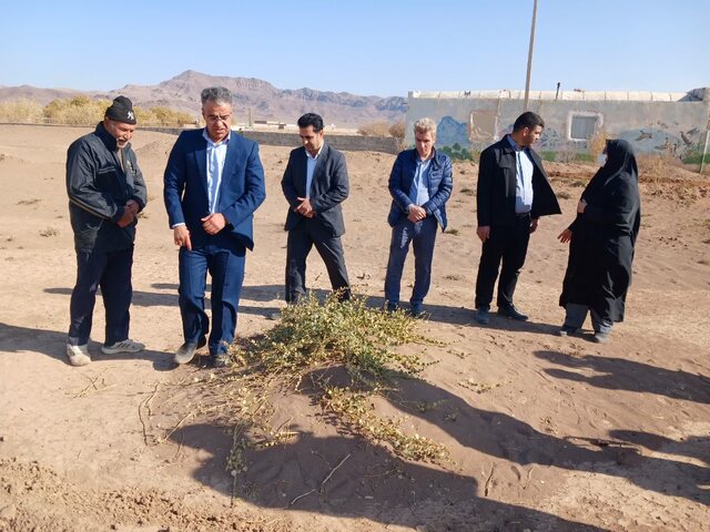 جنگ کاپاریس با کویر