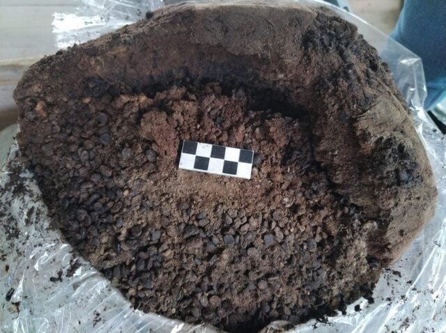 کشف رازهای جدید درباره بردگان