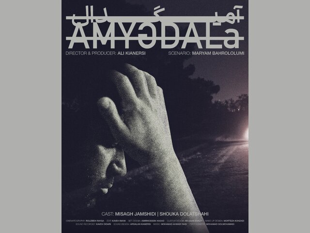 از انتخاب هیات مدیره صنف منتقدان تا خبرهایی از سینما و تئاتر