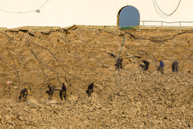 آخرین روند بازسازی ورزشگاه آزادی